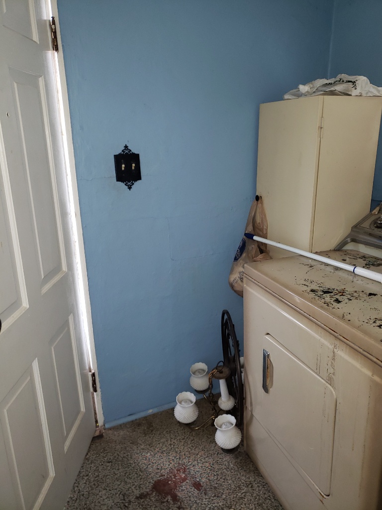 1100 E Waltnut Before 13